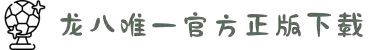 龙8-long8(中国)唯一官方网站